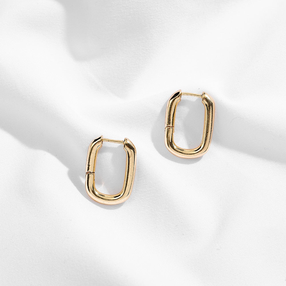 Stainless Steel Hoop Earrings