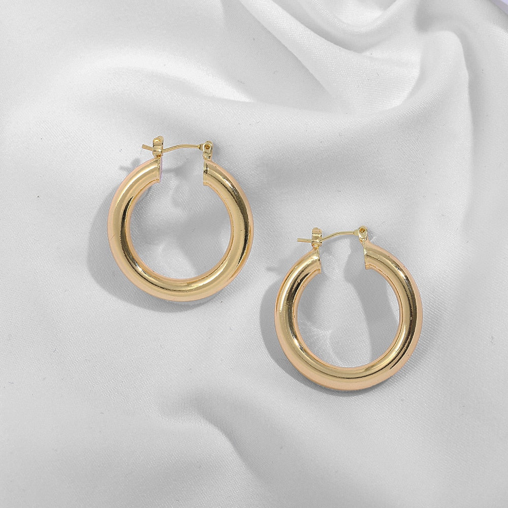 Stainless Steel Hoop Earrings