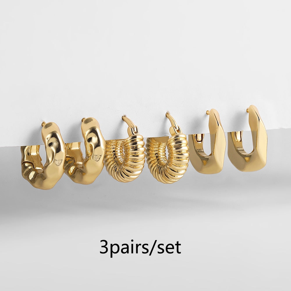 Stainless Steel Hoop Earrings