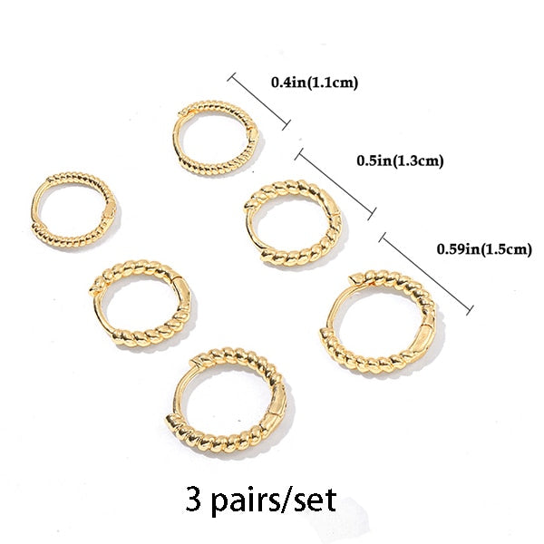 Stainless Steel Hoop Earrings