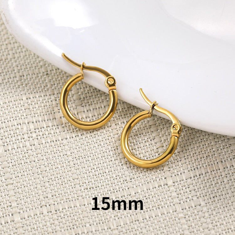 Stainless Steel Hoop Earrings