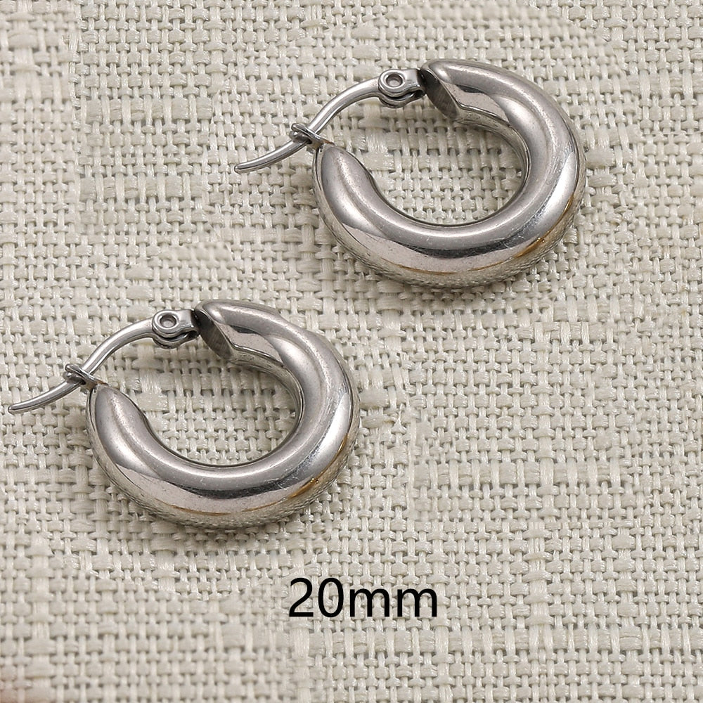 Stainless Steel Hoop Earrings