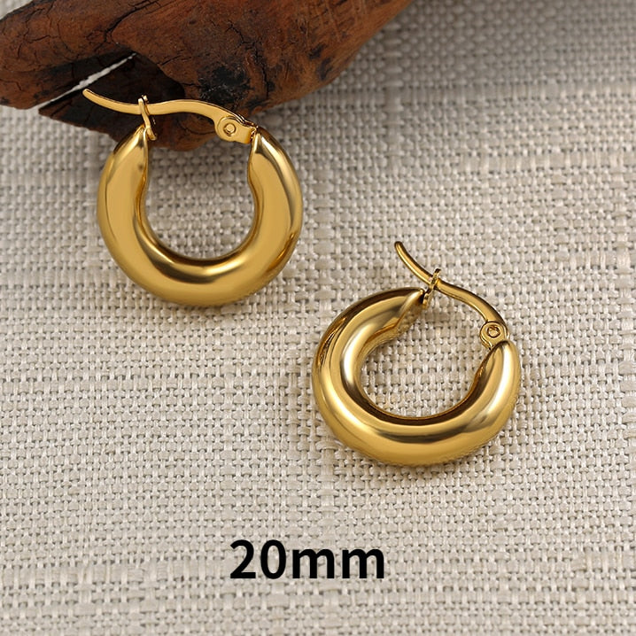 Stainless Steel Hoop Earrings