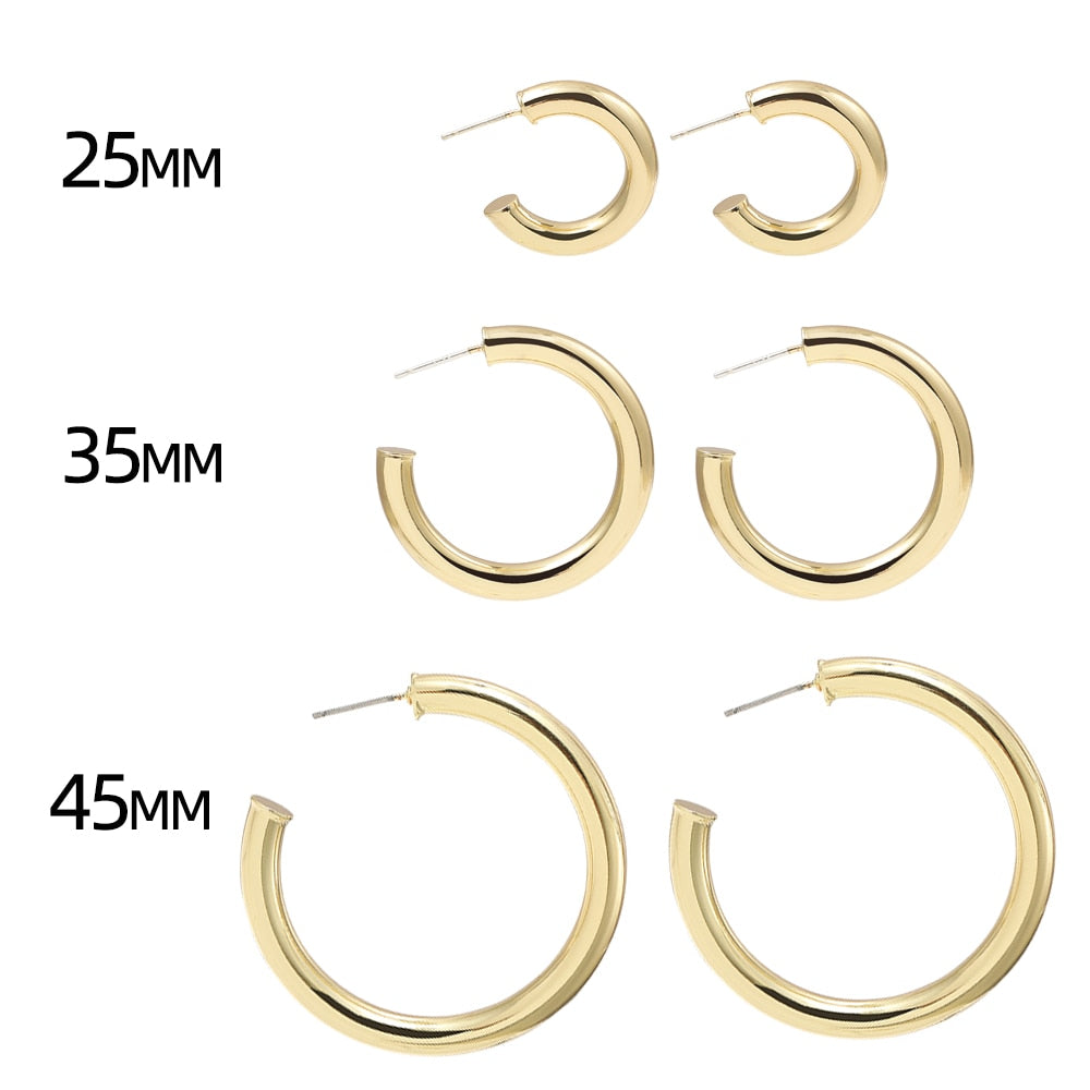 Stainless Steel Hoop Earrings