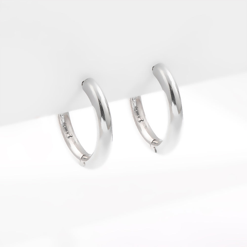 Stainless Steel Hoop Earrings