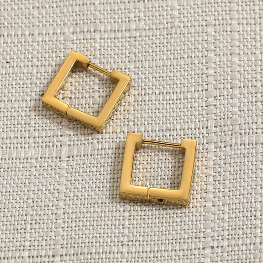 Stainless Steel Hoop Earrings