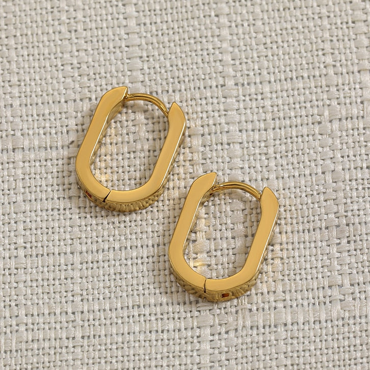 Stainless Steel Hoop Earrings