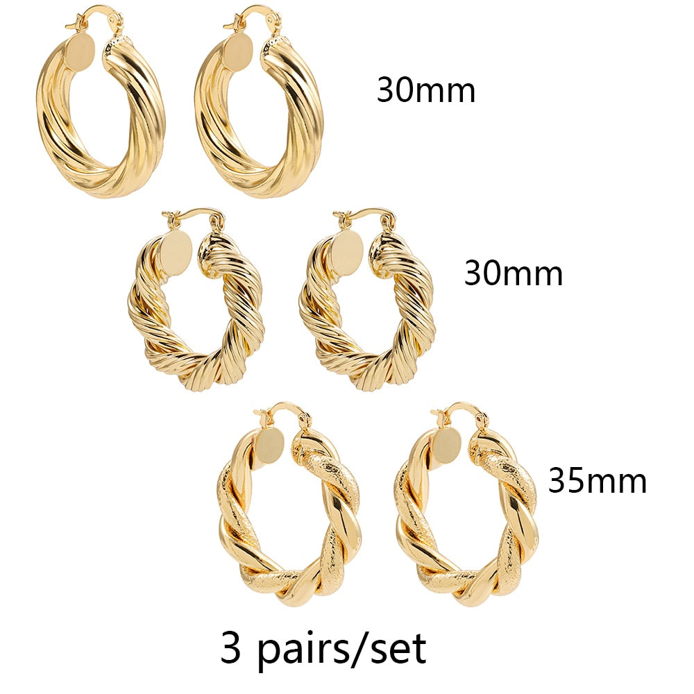 Stainless Steel Hoop Earrings